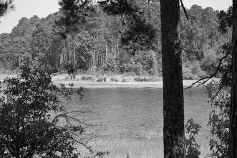 Monotone Lake Stock Photos
