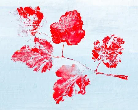 Monotypy with red maple leaves イラスト素材