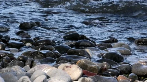 Møns Klint, Denmark Stock Footage 220508353