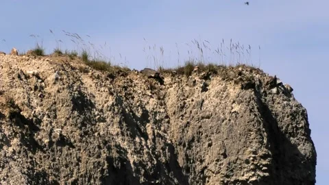 Møns Klint, Denmark Stock-Footage 220508681