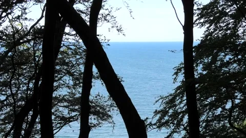 Møns Klint, Denmark Stock Footage 220508806