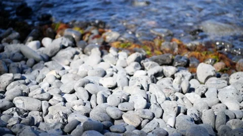 Møns Klint, Denmark Stock-Footage 220509011