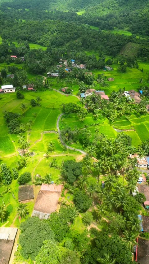 Monsoon and Nature Video stock 250032741