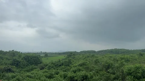 Monsoon Clouds Over Lush Forest Landscape Near Chandaka, Odisha Video stock 341717238