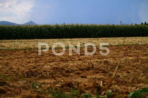 Monsoon on the farm Stock Photos