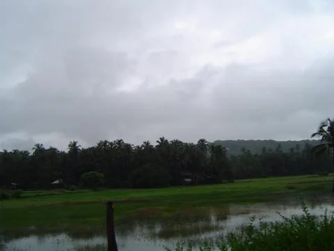 Monsoon Greenery with River, Tree, Mountain and Cloud 写真素材