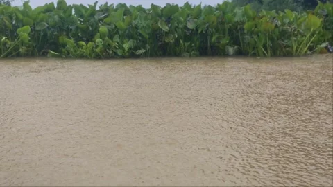 Monsoon Heavy Rain Drops Splashing On Flooded Muddy Water Surface, Water Hya Stock Footage 345893281