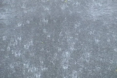 Monsoon heavy rain falling on pavement w audio Stock Footage 821865
