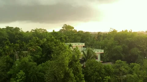 Monsoon heavy rain saturated building surrounded by Bangladesh woodland forest Vídeos de archivo 346189215