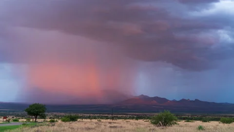 Monsoon Magic Stock Footage 219716166