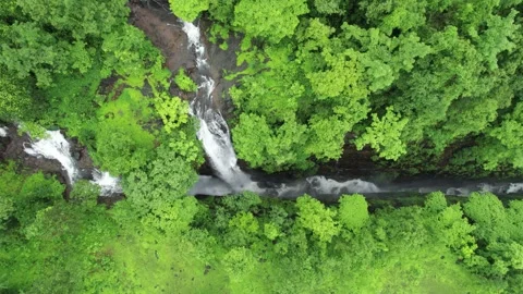 Monsoon Magic at Saatsada Waterfall | Scenic Sahyadri Trek Experience Stock Footage 320825811
