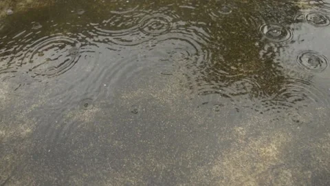 Monsoon Rain falling on the ground. Light Heavy Raindrops falling on concrete Stock Footage 140195563