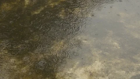 Monsoon Rain falling on the ground. Light Heavy Raindrops falling on concrete Stock Footage 140195622