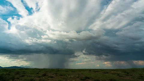 Monsoon Rain Stock Footage 219713785
