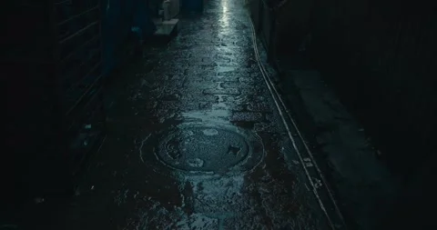 Monsoon Rain in India Stockbeeldmateriaal 304316913