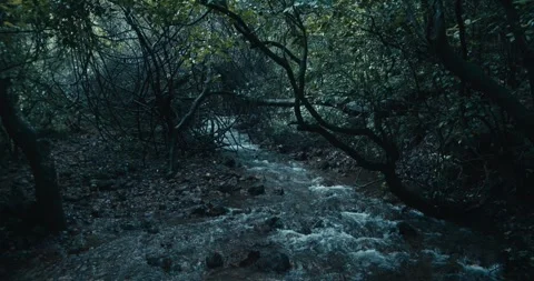 Monsoon Rain in India Stockbeeldmateriaal 304316951