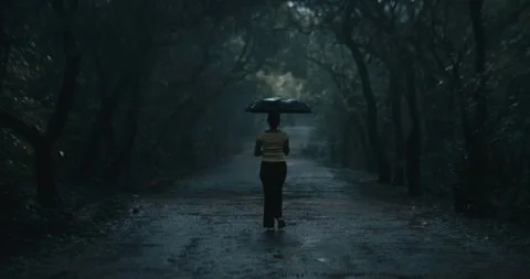 Monsoon Rain in Indian forest Stockbeeldmateriaal 304316797