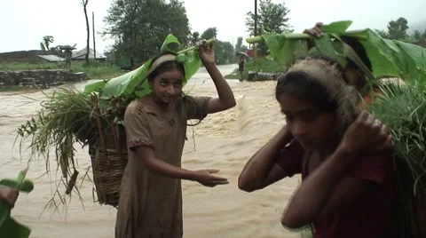 Monsoon rain Nepal Stock Footage 47550620