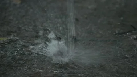 Monsoon rainfall 库存影片 342833383
