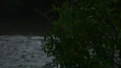 Monsoon rainfall Stock-Footage 342833621
