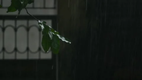 Monsoon rainfall Stock-Footage 342833657