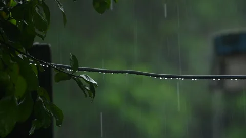 Monsoon rainfall 库存影片 342833746