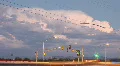 Monsoon storm front wakes up at dusk timelapse - 2 into dusk Video HD