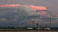 Monsoon storm front wakes up at dusk timelapse - 3 sunset time HD Footage