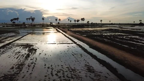 Monsoon sunset in Cambodia Stock Footage 88124093