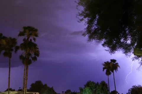 Monsoon Timelapse with Palm Trees Video stock 51715618