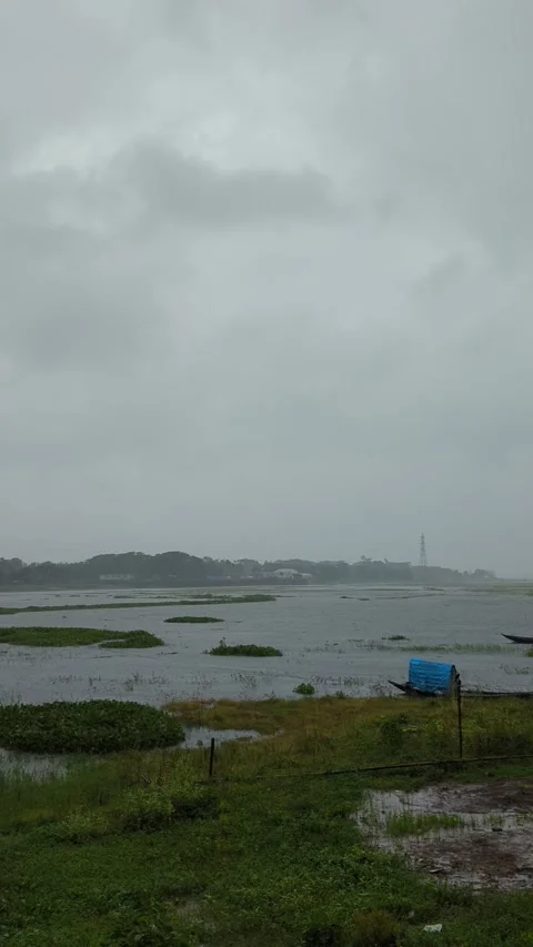 Monsoon weather rain river view bangladesh 스톡 동영상 306940477