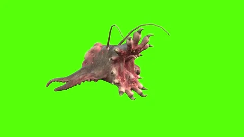 Monster Bite Green Screen Animation 4k Rendering 動画素材 267715490