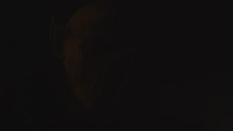 Monster Car Attack Stock Footage 234212069