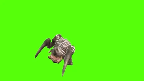 Monster Claws Attack Forward Green Screen Animation 4K Rendering 動画素材 270021677