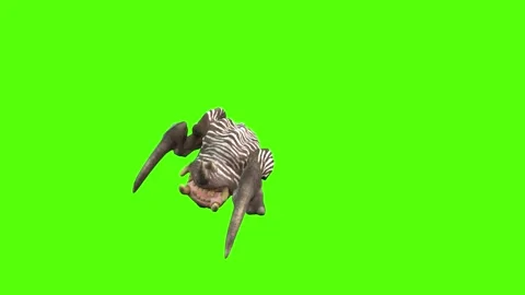 Monster Claws Attack Forward Position Green Screen Animation 4K Rendering Stock-Footage 270021665