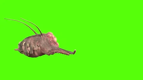 Monster Crawl Forward Green Screen Animation 4k Rendering Stock Footage 267715564