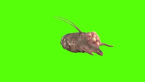 Monster Crawl Forward Green Screen Animation 4k Rendering Stock Footage 267715574