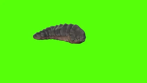 Monster crawl Green Screen Animation 4k Rendering Stock Footage 262597619