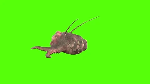Monster Crawl Green Screen Animation 4k Rendering Vídeo Stock 267715494