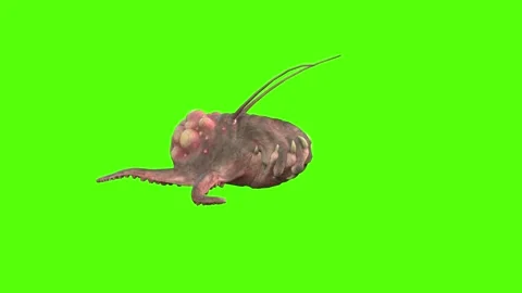Monster Crawl Green Screen Animation 4k Rendering Stock Footage 267715593