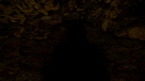 Monster in dark castle Vídeos de archivo 69204756