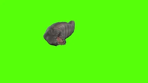 Monster Death Green Screen Animation 4k Rendering 動画素材 262597596