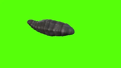 Monster Death Green Screen Animation 4k Rendering Stock-Footage 262597601