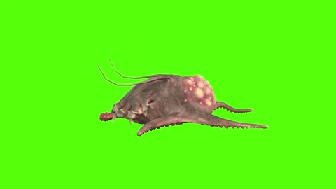 Monster Death Green Screen Animation 4k Rendering Stock-Footage 267715604