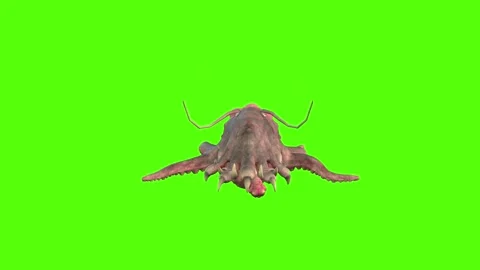 Monster Death Green Screen Animation 4k Rendering Vídeos de archivo 267715628