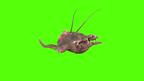 Monster Getting Attacked Green Screen Animation 4k Rendering Stock Footage 267715687