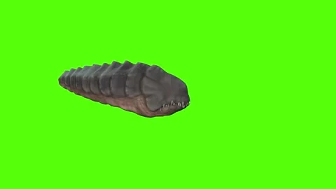 Monster Getting Hit Green Screen Animation 4k Rendering Stock Footage 262597583
