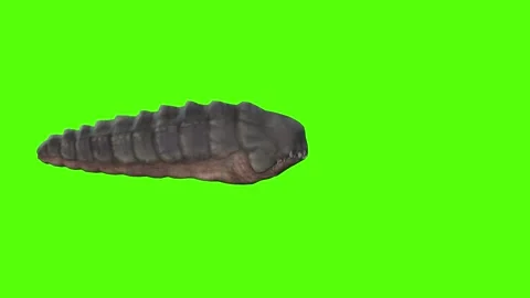Monster Getting Hit Green Screen Animation 4k Rendering Stock-Footage 262597584