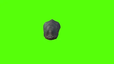Monster Getting Hit Green Screen Animation 4k Rendering 動画素材 262597587
