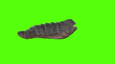 Monster Getting Hit Green Screen Animation 4k Rendering Stock-Footage 262597602